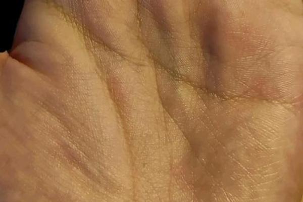 揭秘手相中的桃花运势：掌握秘诀，让你爱情运爆棚