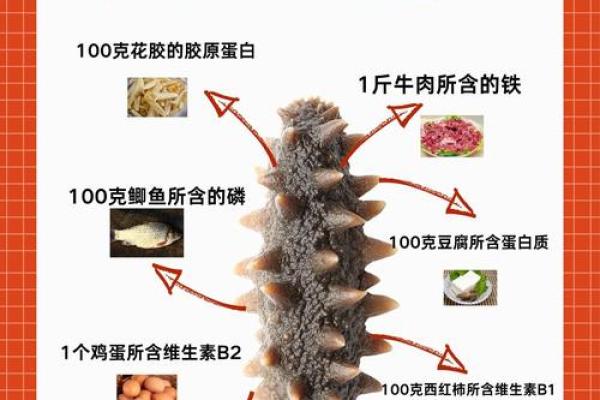 为海参命名，掀起一场创意风暴