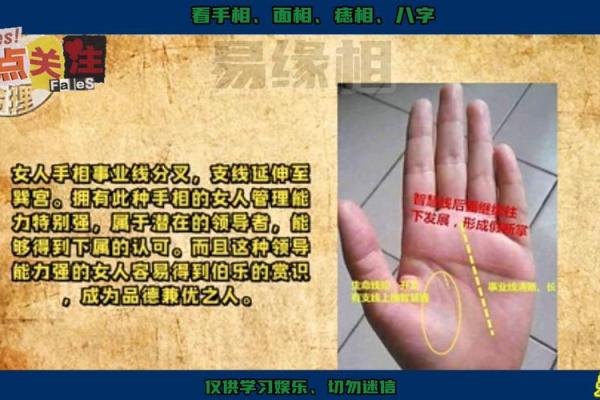 手相揭秘：事业线深长，财运亨通的未来人生赢家