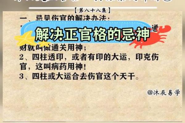 天干全是忌神，这样的命运会怎样？