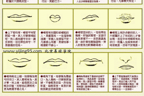 面相解析：揭秘五官密码，精准预测运势财运