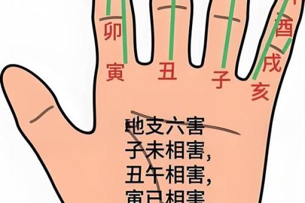 卯五行属什么？揭开这一神秘答案