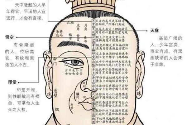 揭秘面相学：脸颊痘痘暗藏的运势秘密，让你一招看透运势