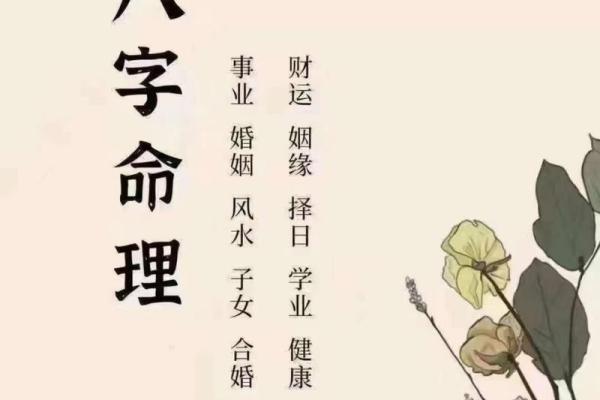 木命年，财运亨通，事业腾飞，2024年必看运势指南