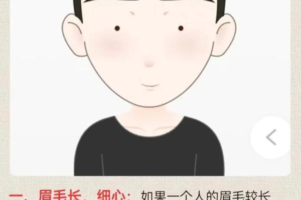 眉高眼长，财运亨通：揭秘眉毛高低面相的秘密