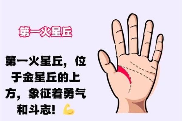 揭秘左手月丘末端，手相中的财富密码