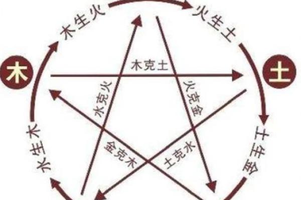 你属于哪一五行？会五行的详细解析在这里