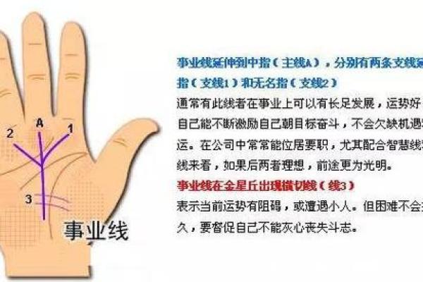 手相揭秘：一招看穿子女运势，精准预测你家宝宝的未来
