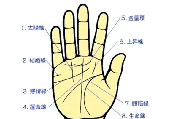 揭秘男性手相：左手右手哪个更准？