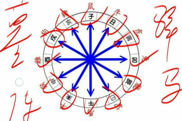 大六壬在线排盘崛起，如何借助这一工具精准预测未来？