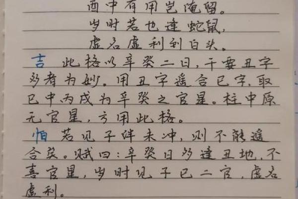 巳在命理学中的重要性与应用