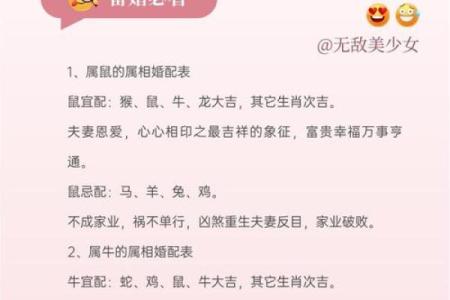 揭秘：哪个生肖竟是天生乞丐命，命运多舛让人唏嘘