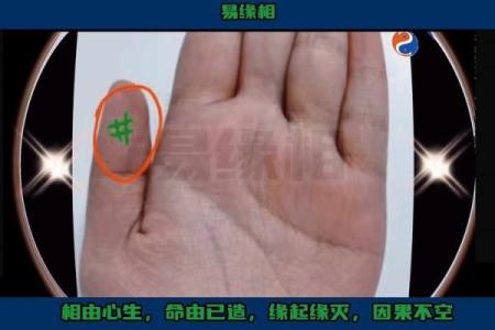 揭秘男大富大贵手相：大拇指的神奇暗示