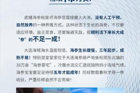 为海参命名，掀起一场创意风暴