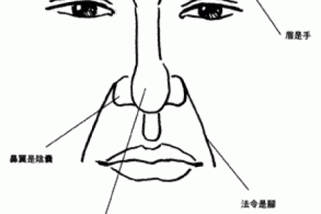 面相揭秘：阴茎长短预示男人运势，快来看看你命里藏了多少财