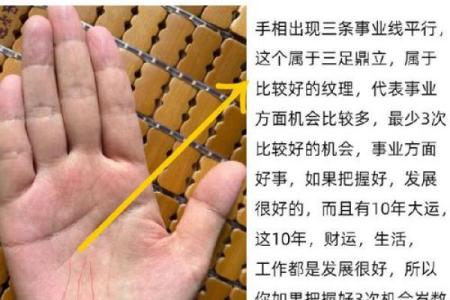 手相揭秘：事业线深长，财运亨通的未来人生赢家