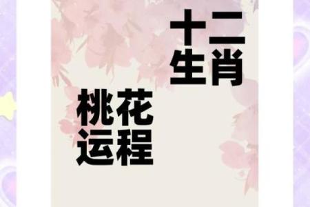 属猴与属兔：完美匹配的幸运缘