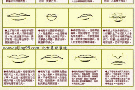面相解析：揭秘五官密码，精准预测运势财运