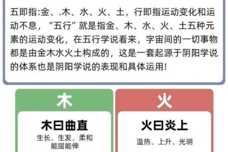 五行命理揭秘，属什么五行最有利？
