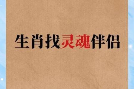 属狗猴相配度揭秘：揭秘你的灵魂伴侣是否就在身边？