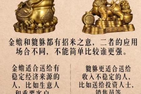 木命年，财运亨通，事业腾飞，2024年必看运势指南