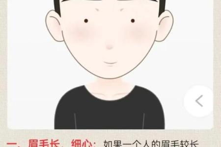 眉高眼长，财运亨通：揭秘眉毛高低面相的秘密