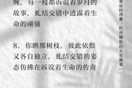 92年是7，揭秘七命背后的神秘力量