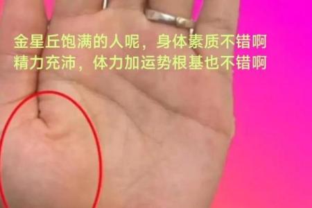 手相揭秘：一招看穿子女运势，精准预测你家宝宝的未来