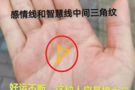 手相智慧线长如龙，揭秘运势大逆袭