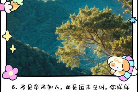 命途多舛，运势逆袭：揭秘有运无命的奇迹逆袭之路