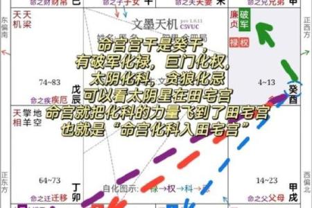 命理命宫指背如何影响你的命运走向？