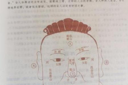 面相揭秘：揭秘当官者的神秘面相特征，你也能拥有