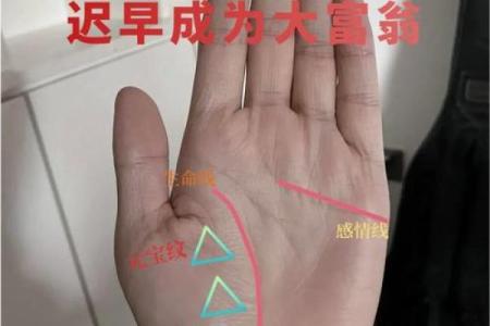 揭秘手相中的富贵密码：如何嫁入豪门？