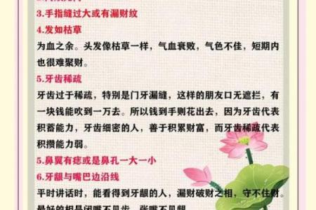 小脸大鼻，财运亨通？揭秘面相中的财富密码