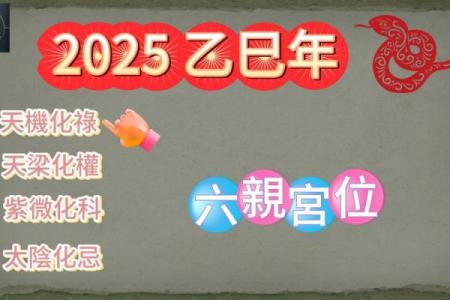 巳在命理学中的重要性与应用