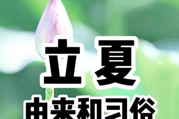 立夏习俗大揭秘：探寻古韵今风，解锁传统节日魅力