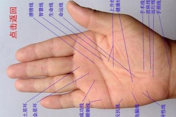 手相真的可以改变？揭秘手相运势重塑秘籍