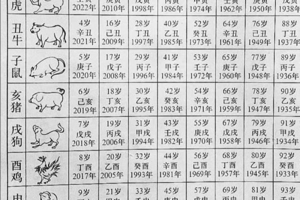 63年属兔命解析：揭秘你的命运密码，快来一探究竟