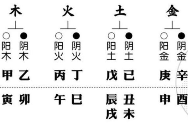 天干地支五行解析：了解五行对你命运的影响