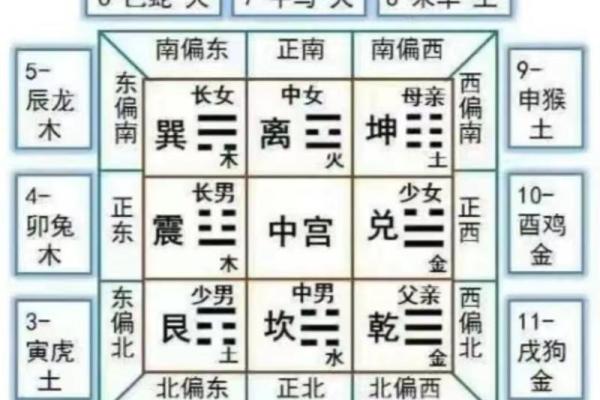属什么五行，命运走势大揭秘