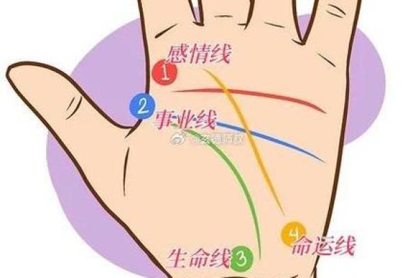 手相揭秘：一掌在手，健康状况全知晓
