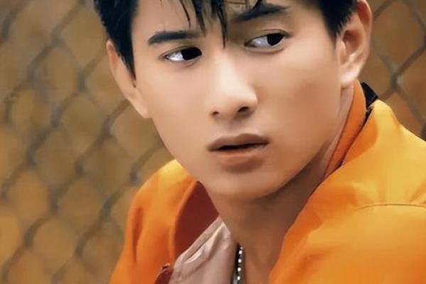 郑嘉颖面相揭秘：与吴奇隆有何异同，揭秘明星面相之谜