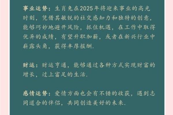 年：生肖命运大揭秘，运势巅峰来袭