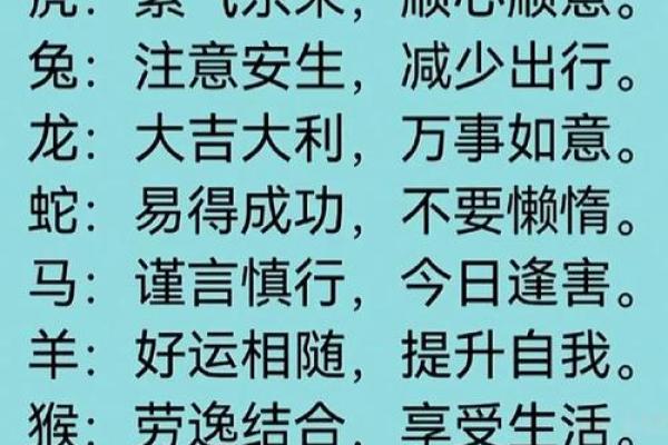 年：生肖命运大揭秘，运势巅峰来袭
