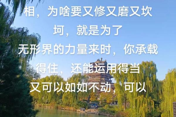 神秘风水之谜：坟墓塌方，揭秘风水大师的无形力量