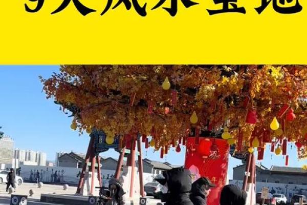 揭秘风水宝地：土色之谜，安葬之地竟影响后代运势必看爆款