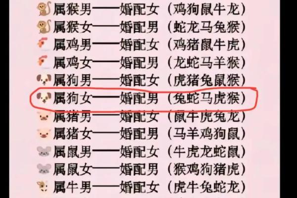 属牛女配属龙男：揭秘绝佳配对背后的奥秘