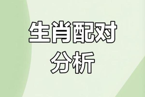 属鸡男与属猴女配对攻略：红娘必备，爱情指南