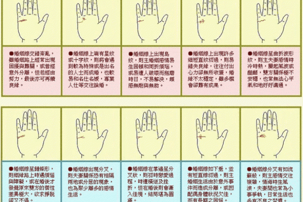手相揭秘：精准预测生男生女及健康状况，你了解多少？