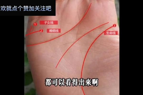 手相揭秘：精准预测生男生女及健康状况，你了解多少？
